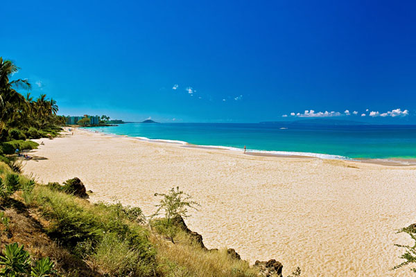 Charley Young Beach